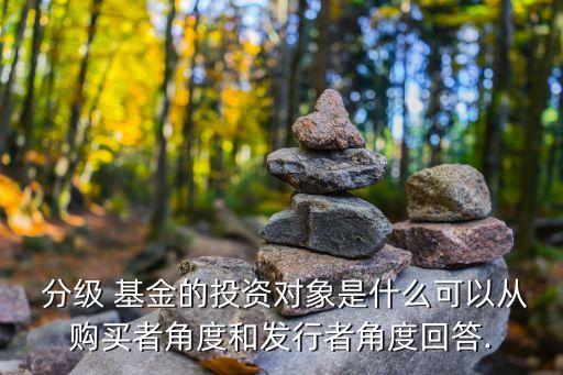  分級(jí) 基金的投資對(duì)象是什么可以從購(gòu)買(mǎi)者角度和發(fā)行者角度回答.