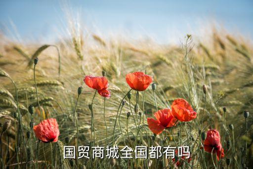 國(guó)貿(mào)商城全國(guó)都有嗎