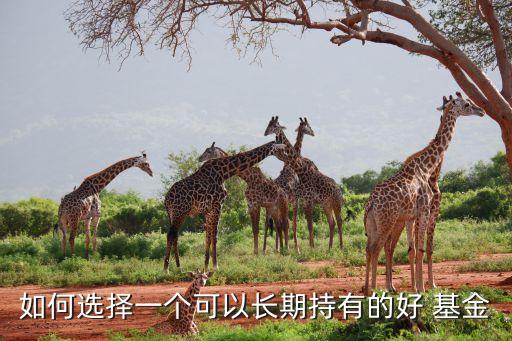 如何選擇一個(gè)可以長期持有的好 基金