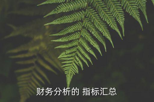 財務(wù)分析的 指標匯總