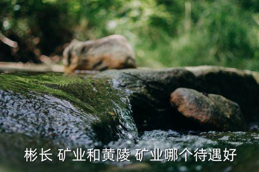 陜西彬長礦業(yè)集團有限公司煤化工公司,2、陜西彬長礦業(yè)集團有限公司