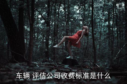 車輛 評估公司收費標(biāo)準(zhǔn)是什么