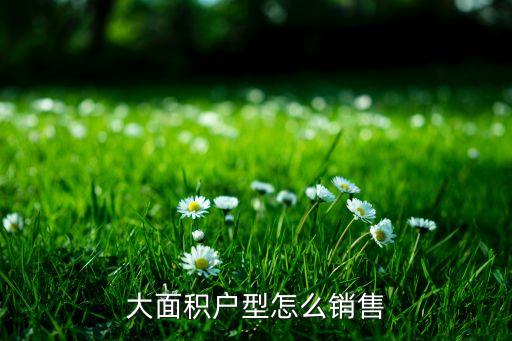 北京房地產(chǎn)投資大戶(hù)型不好賣(mài)