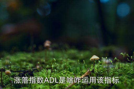 數(shù)量關(guān)系某只股票7月份,組合風(fēng)險(xiǎn)與股票數(shù)量的關(guān)系