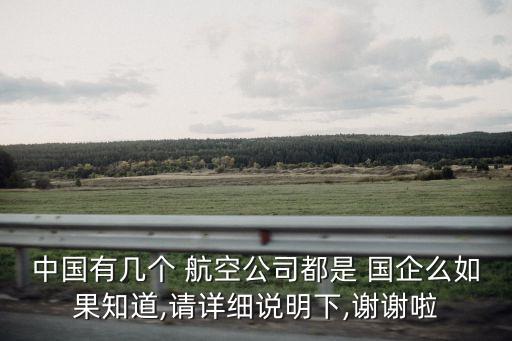 中國(guó)有幾個(gè) 航空公司都是 國(guó)企么如果知道,請(qǐng)?jiān)敿?xì)說明下,謝謝啦