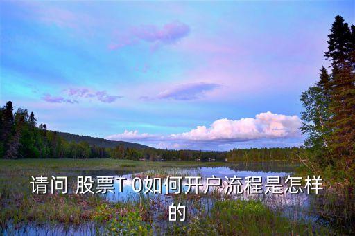 請(qǐng)問 股票T 0如何開戶流程是怎樣的