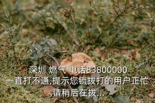 肥西深圳燃?xì)夤倦娫?/></a></span><span id=