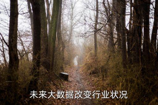 未來大數(shù)據(jù)改變行業(yè)狀況