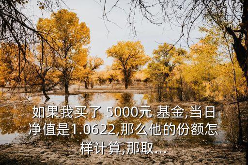 如果我買(mǎi)了 5000元 基金,當(dāng)日凈值是1.0622,那么他的份額怎樣計(jì)算,那取...