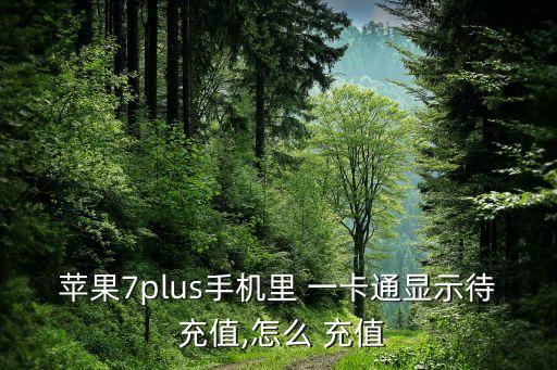 蘋(píng)果7plus手機(jī)里 一卡通顯示待 充值,怎么 充值