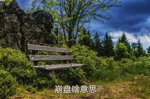  崩盤(pán)啥意思