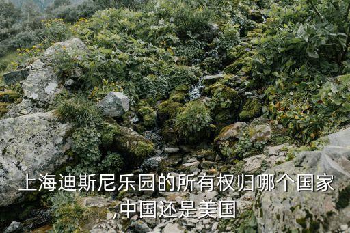  上海迪斯尼樂園的所有權(quán)歸哪個(gè)國家,中國還是美國