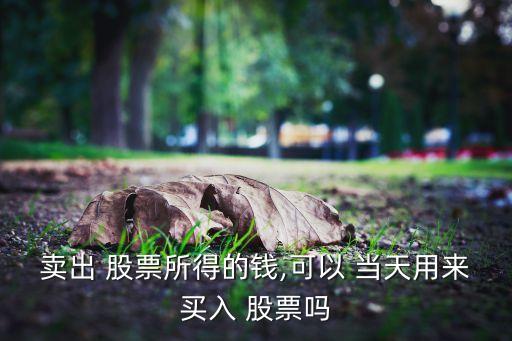 賣出 股票所得的錢(qián),可以 當(dāng)天用來(lái)買入 股票嗎