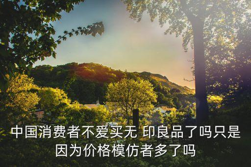 中國(guó)消費(fèi)者不愛買無(wú) 印良品了嗎只是因?yàn)閮r(jià)格模仿者多了嗎