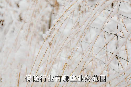 保險(xiǎn)行業(yè)有哪些業(yè)務(wù)范圍