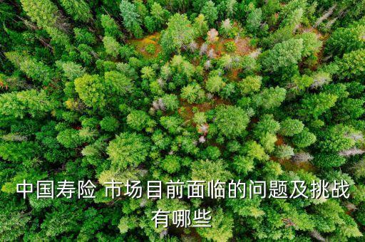 中國壽險 市場目前面臨的問題及挑戰(zhàn)有哪些
