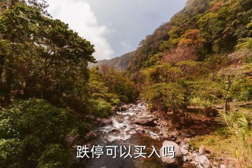 跌?？梢再I入嗎