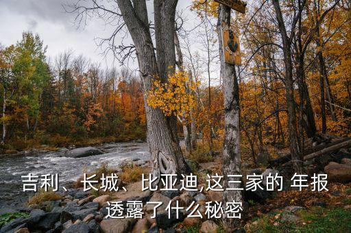 吉利、長城、比亞迪,這三家的 年報透露了什么秘密