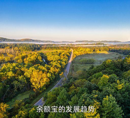  余額寶的發(fā)展趨勢(shì)