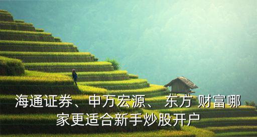 海通證券、申萬(wàn)宏源、 東方 財(cái)富哪家更適合新手炒股開(kāi)戶