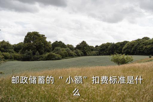  郵政儲蓄的“ 小額”扣費標準是什么