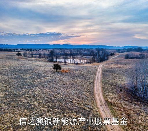 信達澳銀新能源產(chǎn)業(yè)股票基金