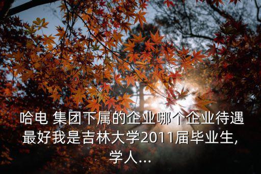  哈電 集團(tuán)下屬的企業(yè)哪個(gè)企業(yè)待遇最好我是吉林大學(xué)2011屆畢業(yè)生,學(xué)人...
