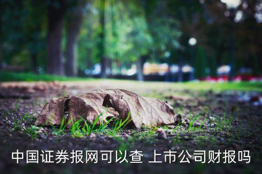 中國證券報網可以查 上市公司財報嗎