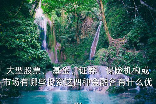 大型股票、 基金、證券、保險(xiǎn)機(jī)構(gòu)或市場(chǎng)有哪些投資這四種金融各有什么優(yōu)...