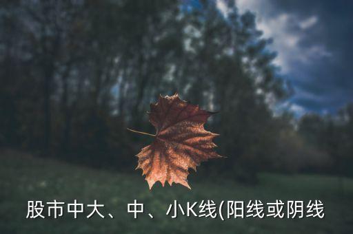股市中大、中、小K線(陽線或陰線