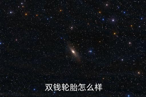 雙錢(qián)輪胎怎么樣