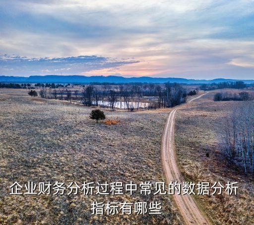 企業(yè)財務(wù)分析過程中常見的數(shù)據(jù)分析 指標有哪些
