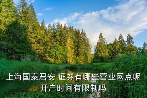 上海國泰君安 證券有哪些營(yíng)業(yè)網(wǎng)點(diǎn)呢開戶時(shí)間有限制嗎