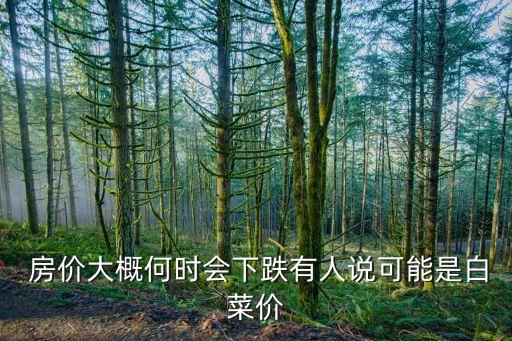  房價(jià)大概何時(shí)會(huì)下跌有人說可能是白菜價(jià)