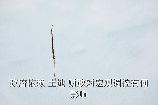 政府依賴 土地 財政對宏觀調控有何影響