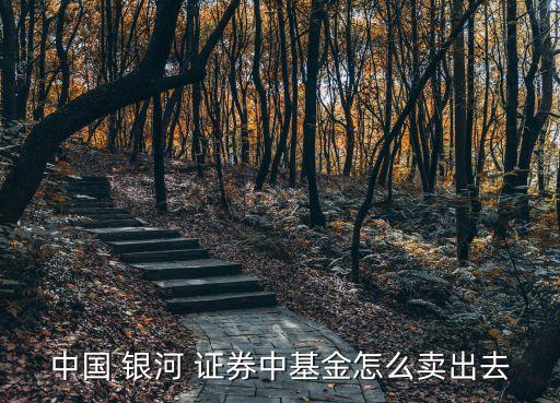 中國 銀河 證券中基金怎么賣出去