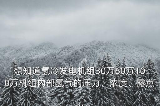 想知道氫冷發(fā)電機(jī)組30萬(wàn)60萬(wàn)100萬(wàn)機(jī)組內(nèi)部氫氣的壓力、濃度、露點(diǎn)...