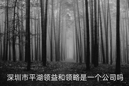  深圳市平湖領益和領略是一個公司嗎