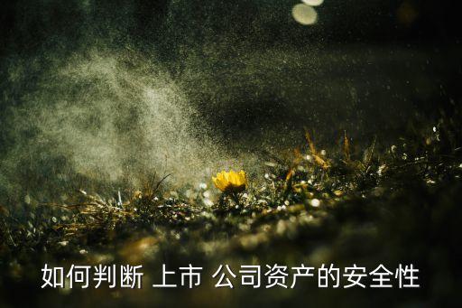 如何判斷 上市 公司資產的安全性