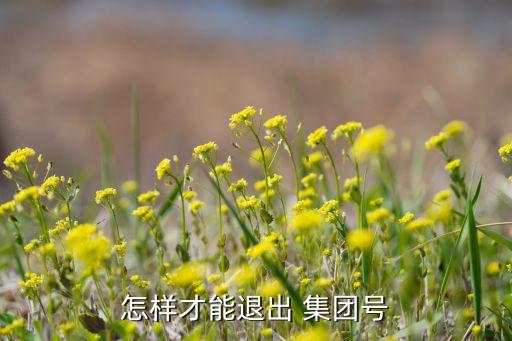 怎樣才能退出 集團(tuán)號