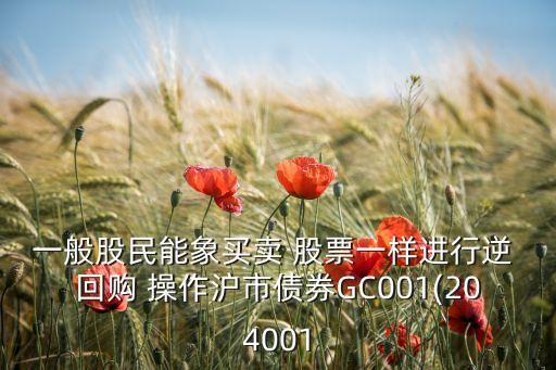 一般股民能象買(mǎi)賣(mài) 股票一樣進(jìn)行逆 回購(gòu) 操作滬市債券GC001(204001