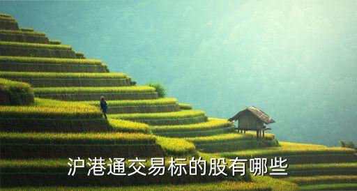 上海科旭股票,上海建科股票發(fā)行價是多少