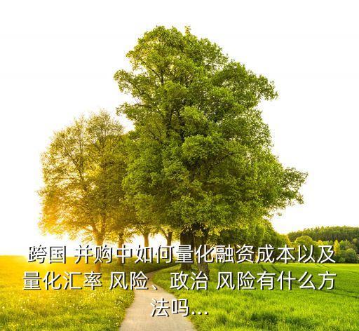  跨國 并購中如何量化融資成本以及量化匯率 風(fēng)險(xiǎn)、政治 風(fēng)險(xiǎn)有什么方法嗎...