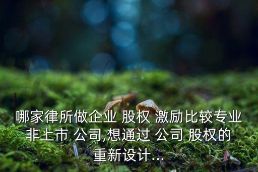 哪家律所做企業(yè) 股權 激勵比較專業(yè)非上市 公司,想通過 公司 股權的重新設計...