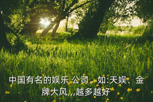 中國有名的娛樂 公司、如:天娛、金牌大風(fēng),,,越多越好