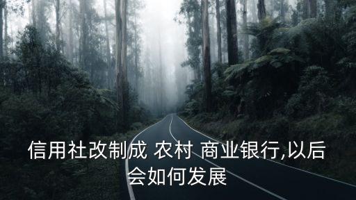 信用社改制成 農(nóng)村 商業(yè)銀行,以后會(huì)如何發(fā)展