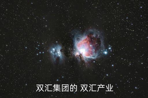 漯河雙匯物流投資有限公司財務報表,河南漯河雙匯投資有限公司招聘