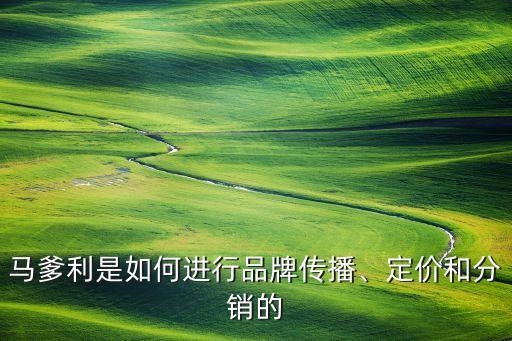 馬爹利是如何進(jìn)行品牌傳播、定價(jià)和分銷的