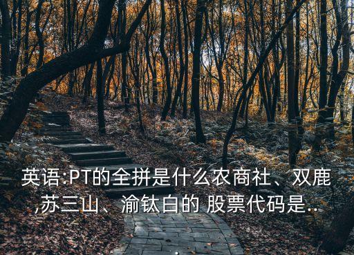 英語:PT的全拼是什么農(nóng)商社、雙鹿,蘇三山、渝鈦白的 股票代碼是...