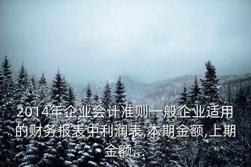 2014年企業(yè)會計準則一般企業(yè)適用的財務報表中利潤表,本期金額,上期金額...